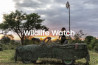 Samsung’s Wildlife Watch nodigt je uit om als virtuele ranger mee te helpen in het behoud van bedreigde dieren in Afrika