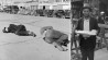 Dorothea Lange legde verslagenheid Grote Depressie vast