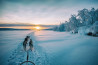 De winter van Lapland