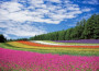 De meest natuurgetrouwe kleuren in je fotos