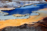 Yellowstone: de pracht en kracht van Moeder Natuur in Natuurmuseum Brabant