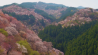 Mustsee: bijzondere dronelapse van de Sakura