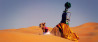 Google Street View in de woestijn van Abu Dhabi