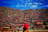 Prachtige deelnames aan de Sony World Photography Awards