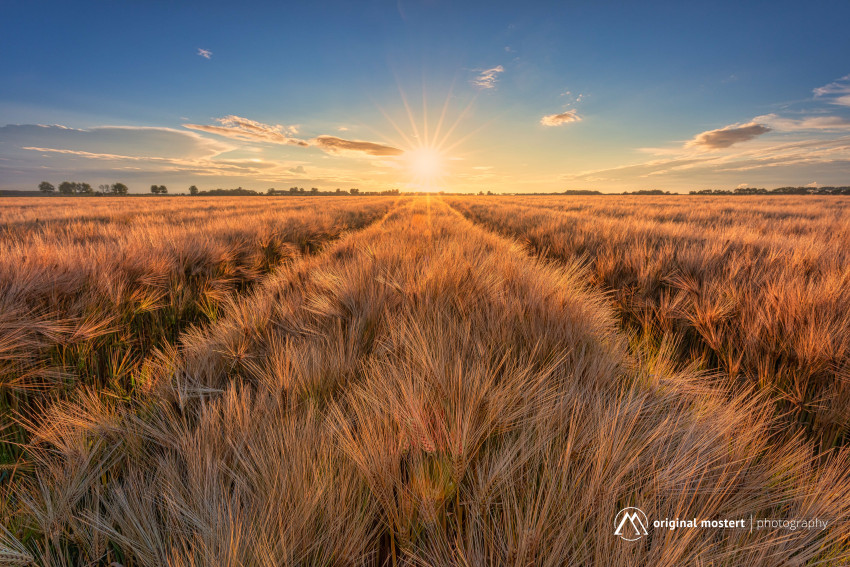 Minimalisme in Landschapsfotografie: Polders en vlakke landschappen