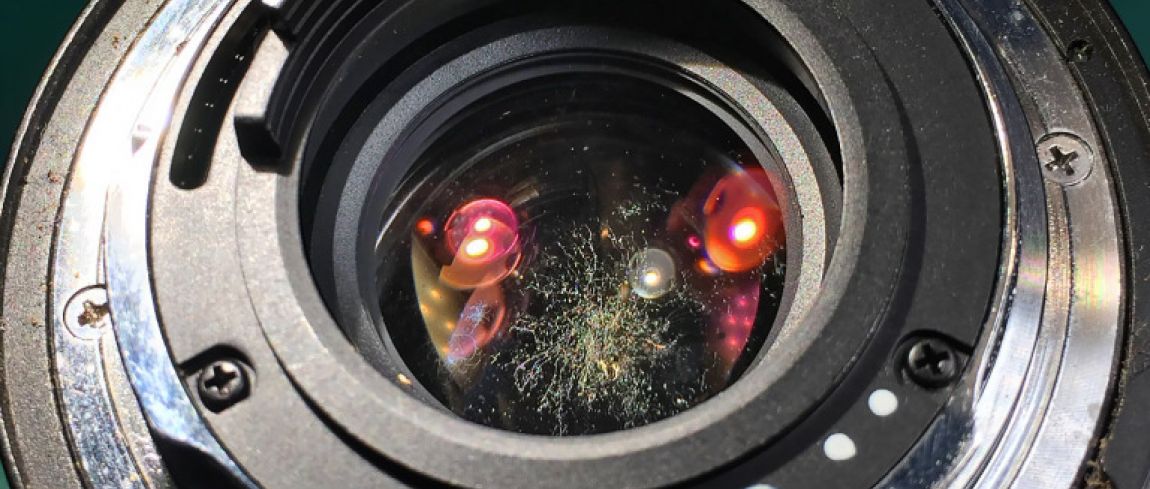 Dodelijk residu neerhalen Schimmel van je lens verwijderen | DIGIFOTO Pro