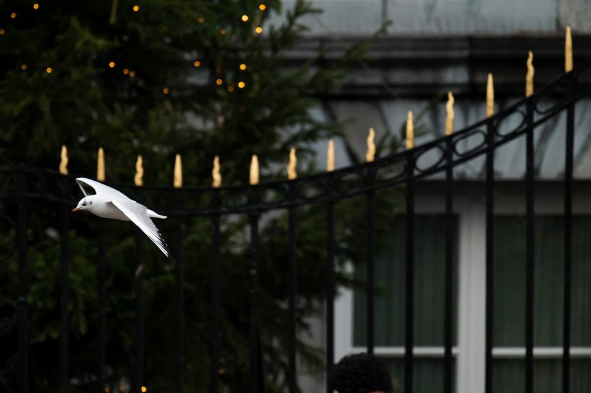 DIGIFOTO Pro test: Nikon Z teleconverters 1.4x en 2.0x 