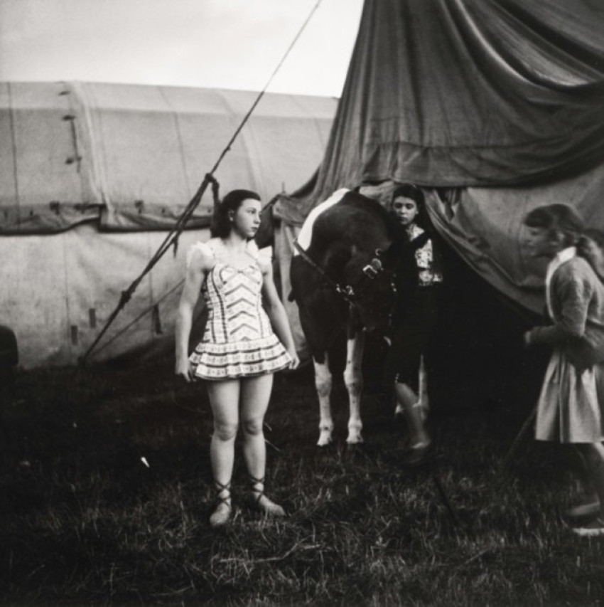 Lucebert (1914-1994): fotografie