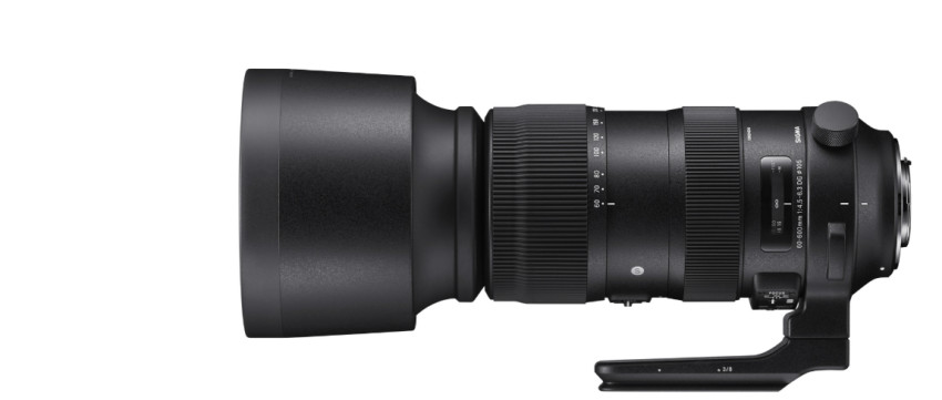 SIGMA 60-600mm Sports: Veelzijdig objectief