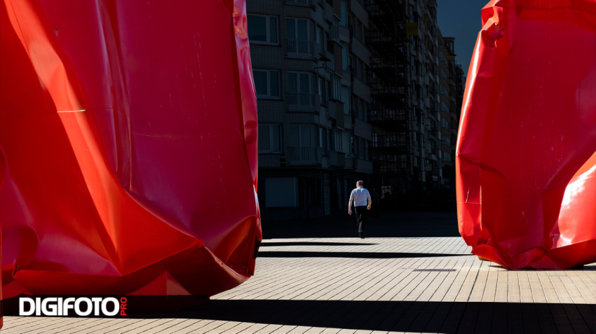 Spotlight van de week #10 | DIGIFOTO Pro Gallery