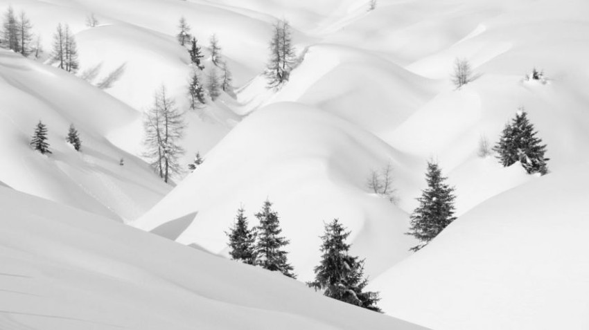Uitslag Fotowedstrijd: Winter in zwart-wit