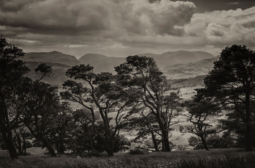 In de spotlight: ‘Matterdale in The Lake District’ van Remco Rog