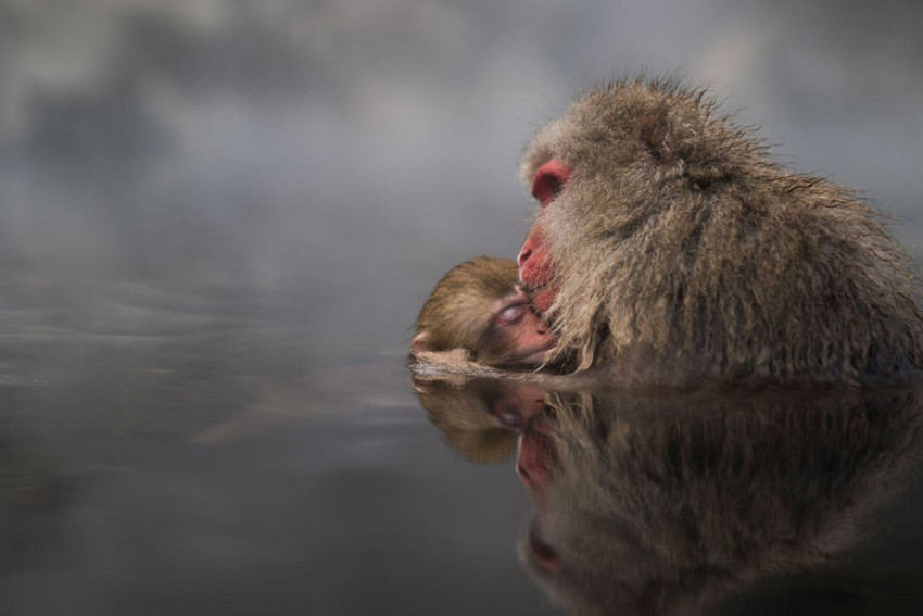National Geographic Traveler contest 2016