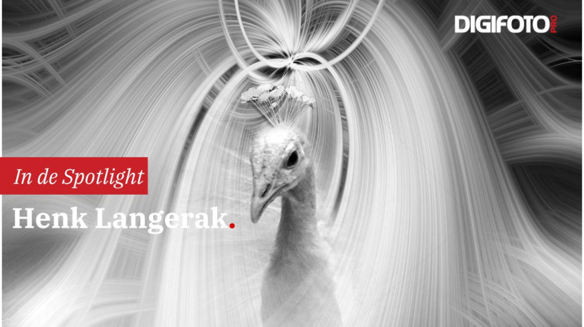 Spotlight van de week #21 | DIGIFOTO Pro Gallery