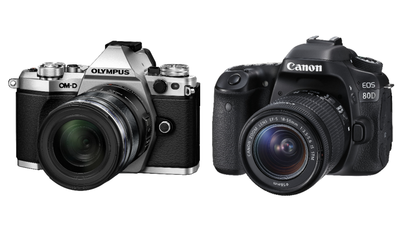 Canon EOS 80D vs Olympus OM-D E-M5 Mark II