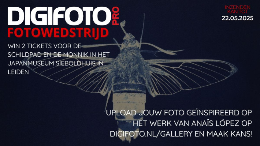 Doe mee: win tickets voor de tentoonstelling van Anaïs López